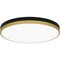 Quoizel Weldin Flush Mount Led Matte Black Gold WLN1620MBKG - alternate 1